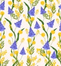 Muscari and mimosa floral seamless pattern on beige background. Spring flowers grape hyacinth Vector illustration for greeting Royalty Free Stock Photo
