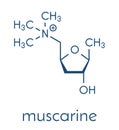 Muscarine mushroom toxin molecule. Agonist of the muscarinic acetylcholine receptors. Skeletal formula.