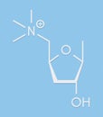 Muscarine mushroom toxin molecule. Agonist of the muscarinic acetylcholine receptors. Skeletal formula.