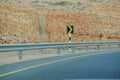 Muscat express way exit lane road, Oman
