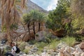 Muscat, Oman - December 16, 2018: female tourist is walking along the wadi - a dried up riverbed - in the outskirts of Muscat