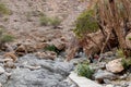 Muscat, Oman - December 16, 2018: group of tourists is walking along the wadi - a dried up riverbed - in the outskirts of Muscat