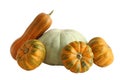 Muscat orange, light gray and small yellow-green pumpkins on white background Royalty Free Stock Photo