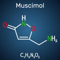 Muscimol, agarin, pantherine molecule. It is the main psychoactive component of the Amanita muscaria, red fly agaric and related