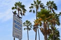 Muscle beach sign with palms