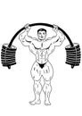 Muscle bodybuilder