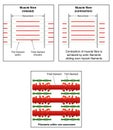 Muscle contraction