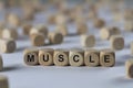 Muscle - cube with letters, sign with wooden cubes Royalty Free Stock Photo