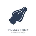 Muscle Fiber icon. Trendy flat vector Muscle Fiber icon on white