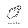 Muscle Fiber icon. Trendy modern flat linear vector Muscle Fiber