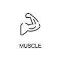 Muscle flat icon