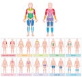 Muscle Groups Female Body Colored Chart