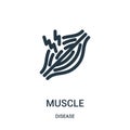 muscle icon vector from disease collection. Thin line muscle outline icon vector illustration. Linear symbol for use on web and