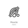 muscle icon vector from vitamin collection. Thin line muscle outline icon vector illustration. Outline, thin line muscle icon for