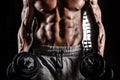 Muscle male chest Royalty Free Stock Photo