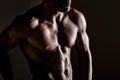 Muscle male chest Royalty Free Stock Photo
