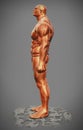 Muscle man figure side view