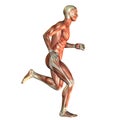 Muscle man at run Royalty Free Stock Photo