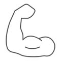 Muscle thin line icon, bodybuilding and sport, power sign, vector graphics, a linear pattern on a white background.