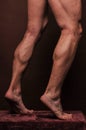 Muscled legs