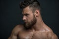 Muscled male model Konstantin Kamynin Royalty Free Stock Photo