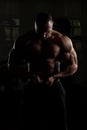 Muscled Male Model Posing In The Gym Royalty Free Stock Photo