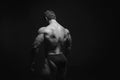 Muscled male model showing his back Royalty Free Stock Photo