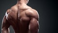 Muscled male model showing his back Royalty Free Stock Photo