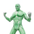 Muscleman anatomy heroic body is angry in white background