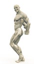 Muscleman anatomy heroic body doing a bodybuilder pose eight in white background Royalty Free Stock Photo