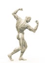 Muscleman anatomy heroic body doing a bodybuilder pose two in white background