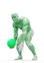 Muscleman anatomy heroic body playing basketball in white background