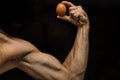muscles in the arm, one egg in the arm, male arm, sports nutrition, protein source