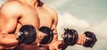 Muscles with dumbbell. Man training with dumbbells. Dumbbell. Muscular bodybuilder guys, exercises with dumbbells Royalty Free Stock Photo