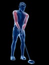 The muscles of a golf player