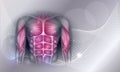 Chest and abdomen muscles