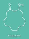 Muscone musk odor molecule. Skeletal formula. Royalty Free Stock Photo
