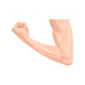 Muscular arm flat icon. Colored vector element from body parts collection. Creative Muscular arm icon for web design Royalty Free Stock Photo