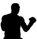 Muscular athlete, professional boxer beats a boxing jab straight punch beats volerkraft with boxing gloves. silhouette