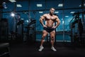 Muscular athletic bodybuilder fitness model posing Royalty Free Stock Photo