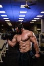 muscular bearded strong caucasian man lifting dumbbells during heavy workout train in sport gym
