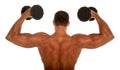 Muscular body builder Royalty Free Stock Photo