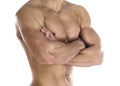 Muscular body Royalty Free Stock Photo