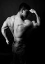 Muscular bodybuilder Royalty Free Stock Photo