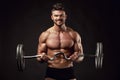 Muscular bodybuilder guy doing exercises with big dumbbell Royalty Free Stock Photo