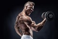 Muscular bodybuilder guy doing exercises with dumbbell Royalty Free Stock Photo