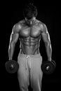 Muscular bodybuilder guy doing exercises with dumbbells Royalty Free Stock Photo