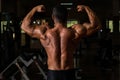 Muscular bodybuilder showing his back double biceps Royalty Free Stock Photo