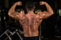 Muscular bodybuilder showing his back double biceps Royalty Free Stock Photo