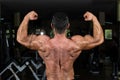 Muscular bodybuilder showing his back double biceps Royalty Free Stock Photo